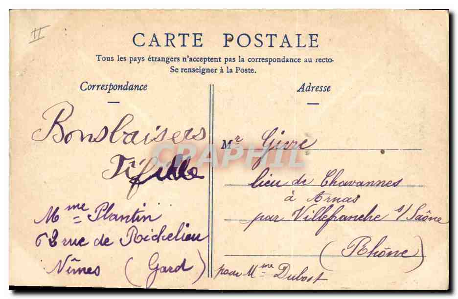 CPA Arbre Nimes Le grand cedre  — Verso