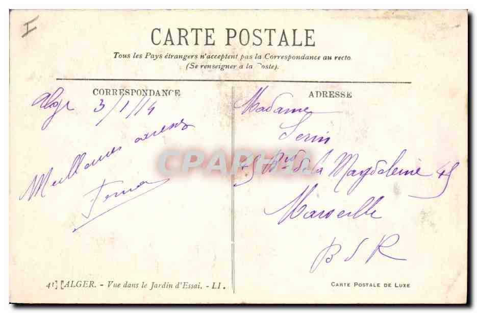 CPA Arbre Alger  — Rückseite