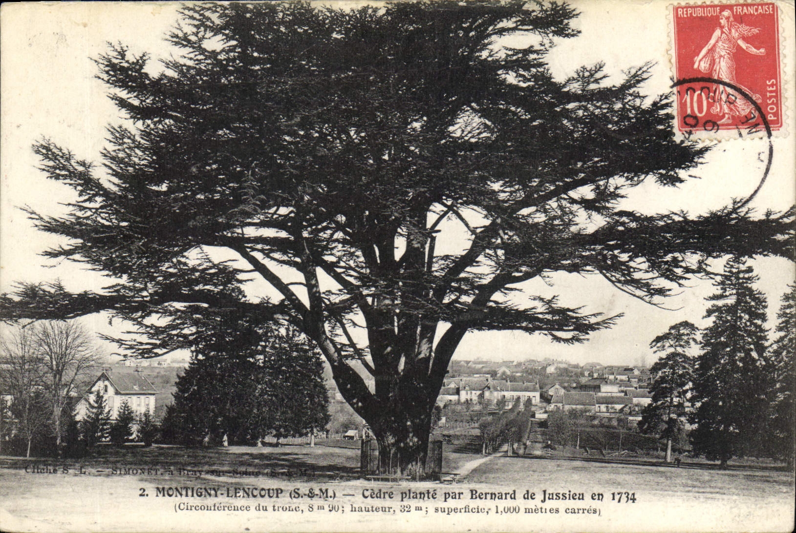 CPA Arbre Montigny Lencoup Cedre plante par Bernard de Jussieu 