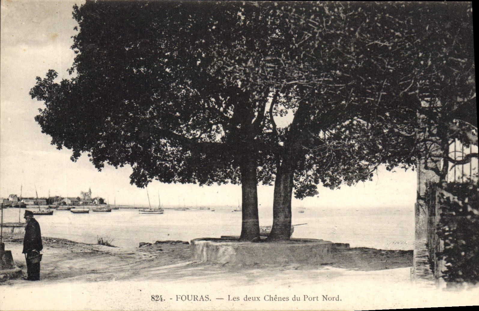 CPA Arbre Fouras Les deux chenes du Port Nord 
