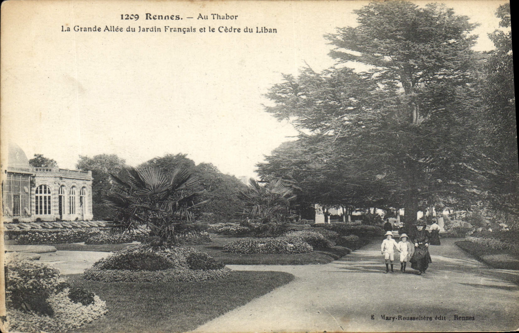 CPA Arbre Rennes Au Thabor La grande allee du jardin francais et le Cedre du Liban 