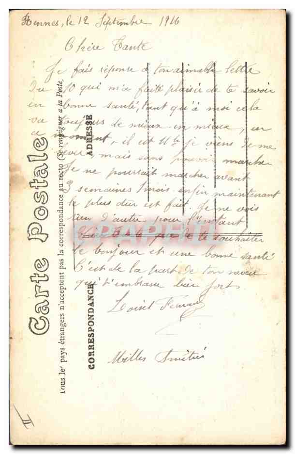 CPA Arbre Rennes Au Thabor La grande allee du jardin francais et le Cedre du Liban  — Rückseite