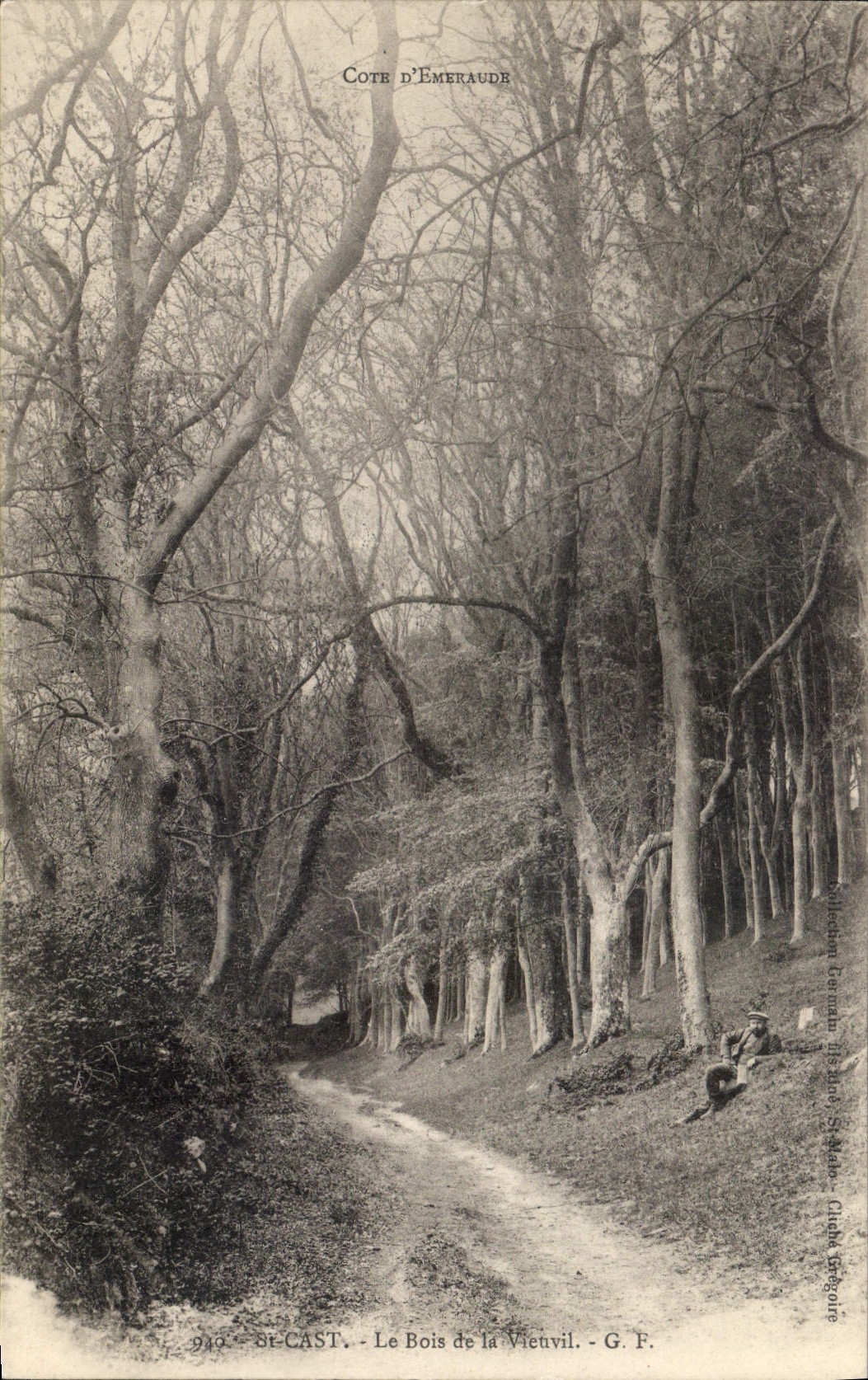 CPA Arbre St Cast Le bois de la Vieuvil 