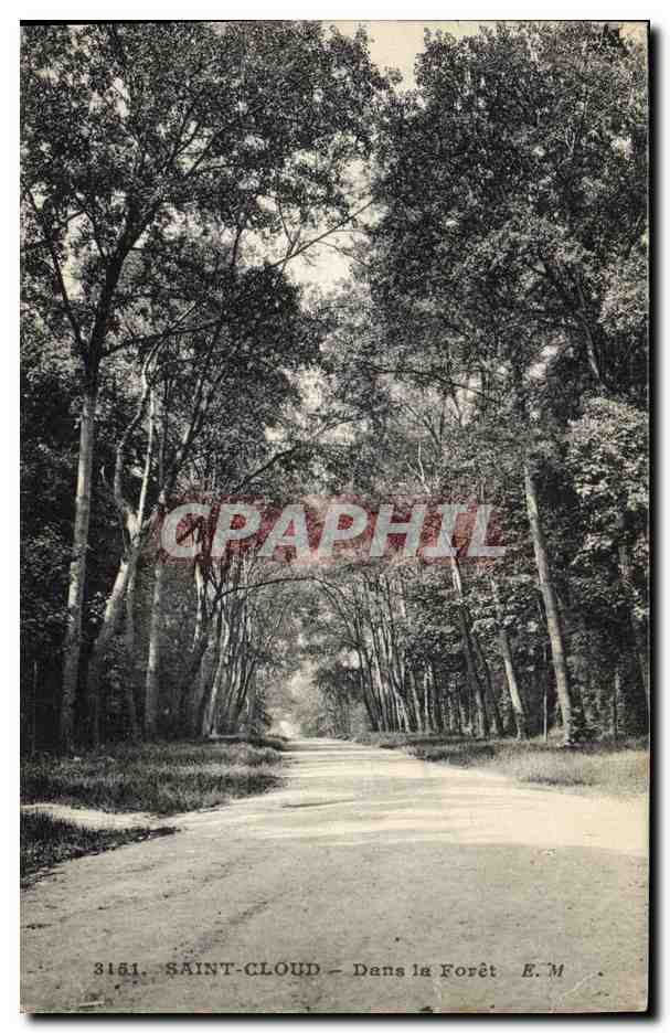 CPA Arbre Saint Cloud Dans la foret 