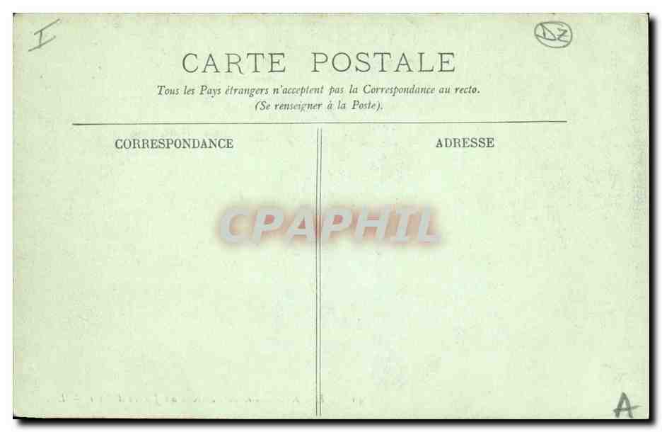 CPA Arbre Alger Allee de bambous au jardin d'essai  — Verso