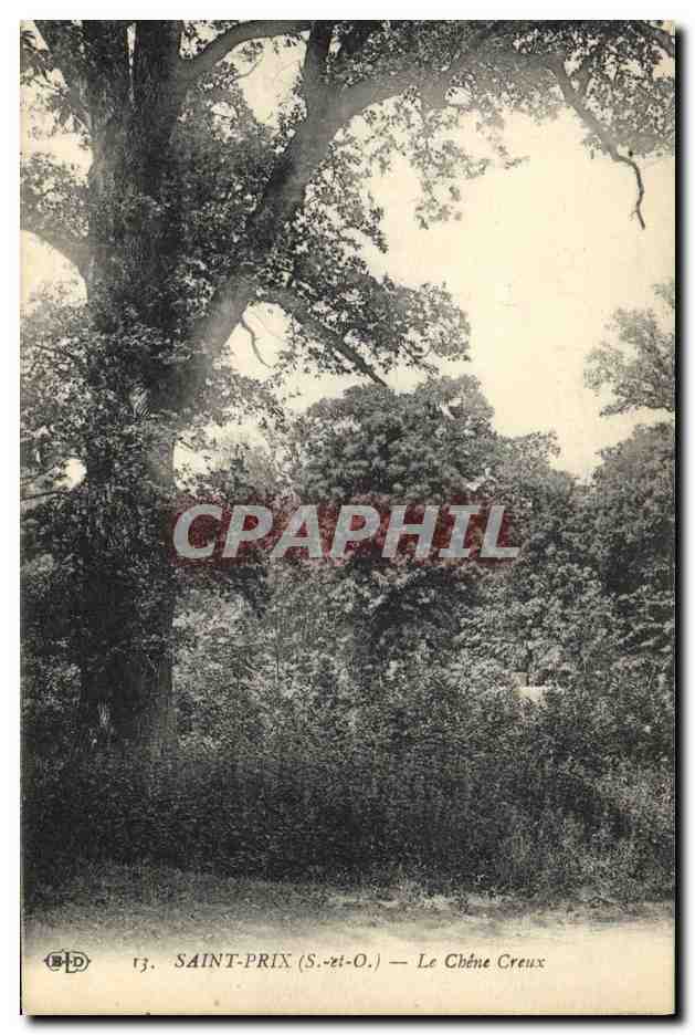 CPA Arbre Saint Prix Le chene creux 