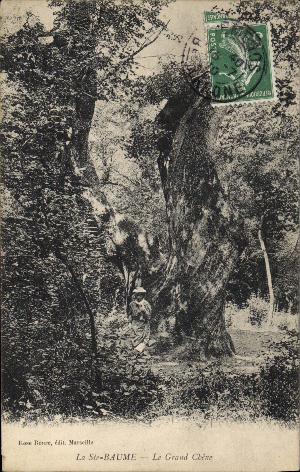CPA Arbre La Sainte Baume le grand chene 