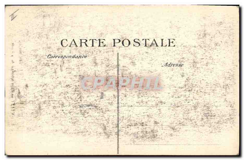 CPA Arbre Verzy Faux principal de la foret  — Rückseite