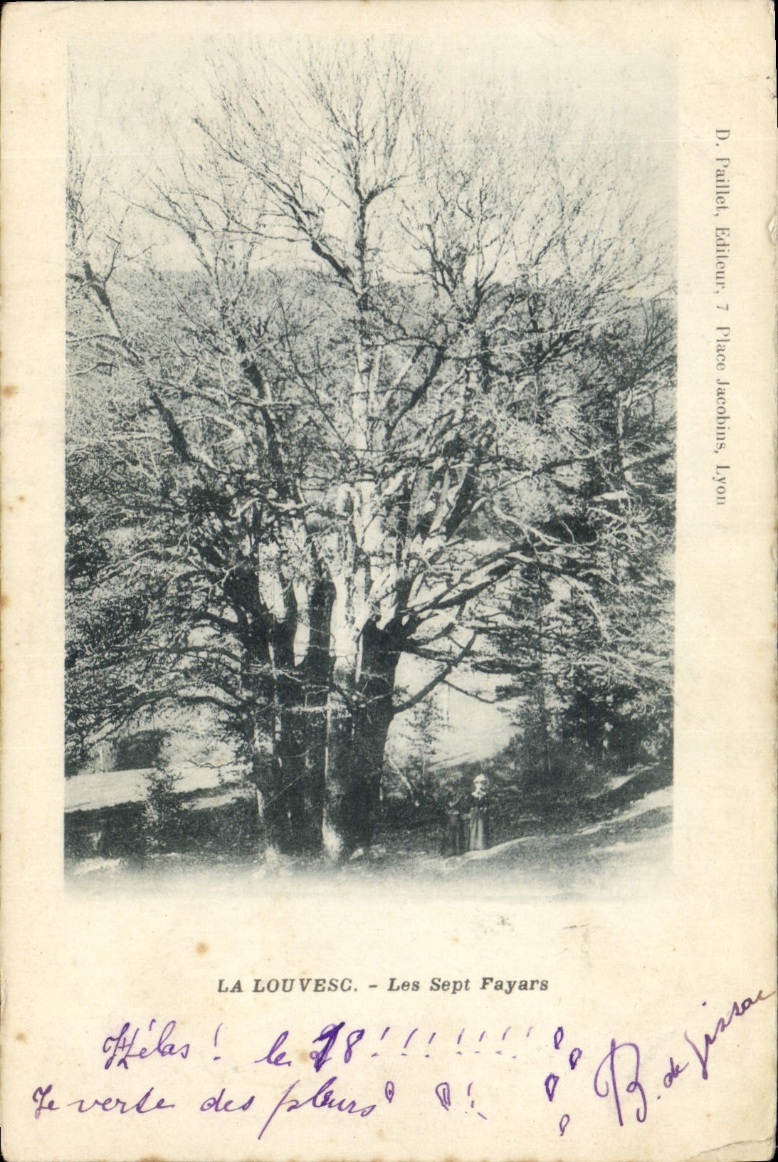 CPA Arbre La Louvesc Les sept Fayars 
