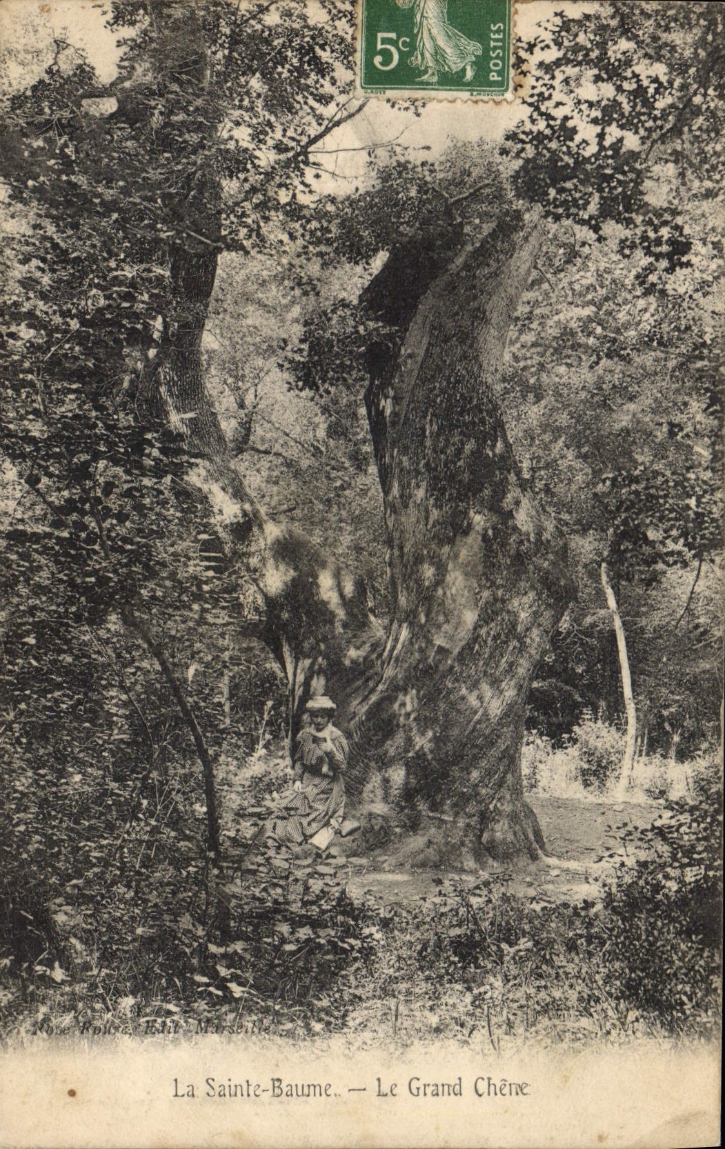 CPA Arbre La Sainte Baume Le grand chene 