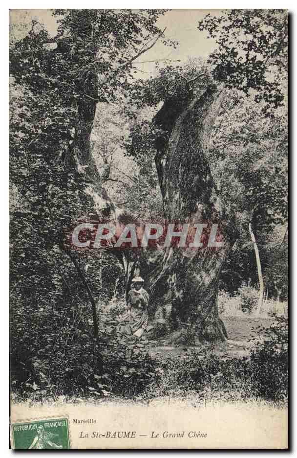 CPA Arbre La Sainte Baume Le grand chene 