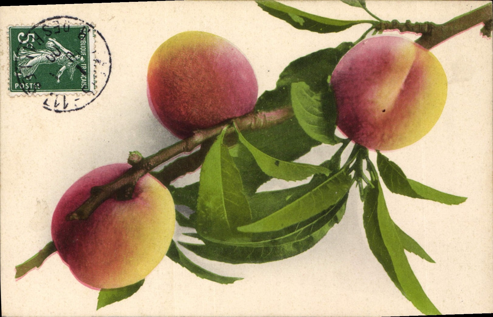 CPA Fantaisie Fleurs Peche 