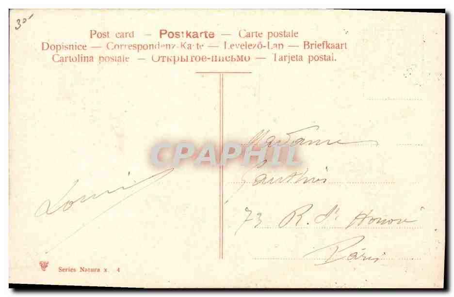 CPA Fantaisie Fleurs Peche  — Back