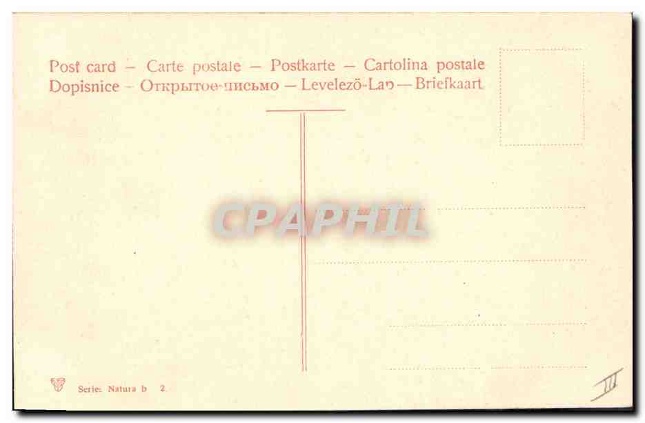 CPA Fantaisie Fleurs Raisins  — Rückseite