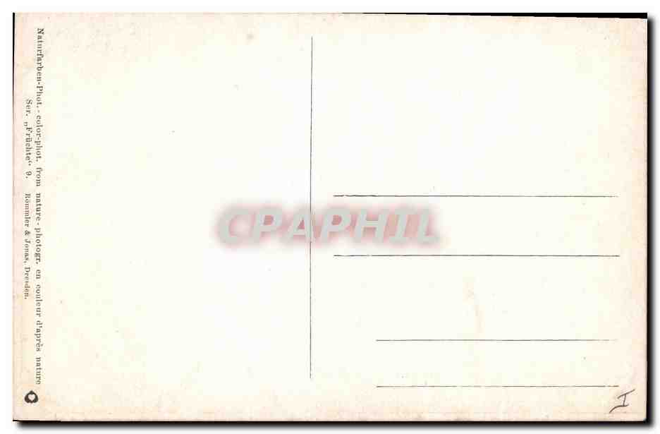 CPA Fantaisie Fleurs  — Back
