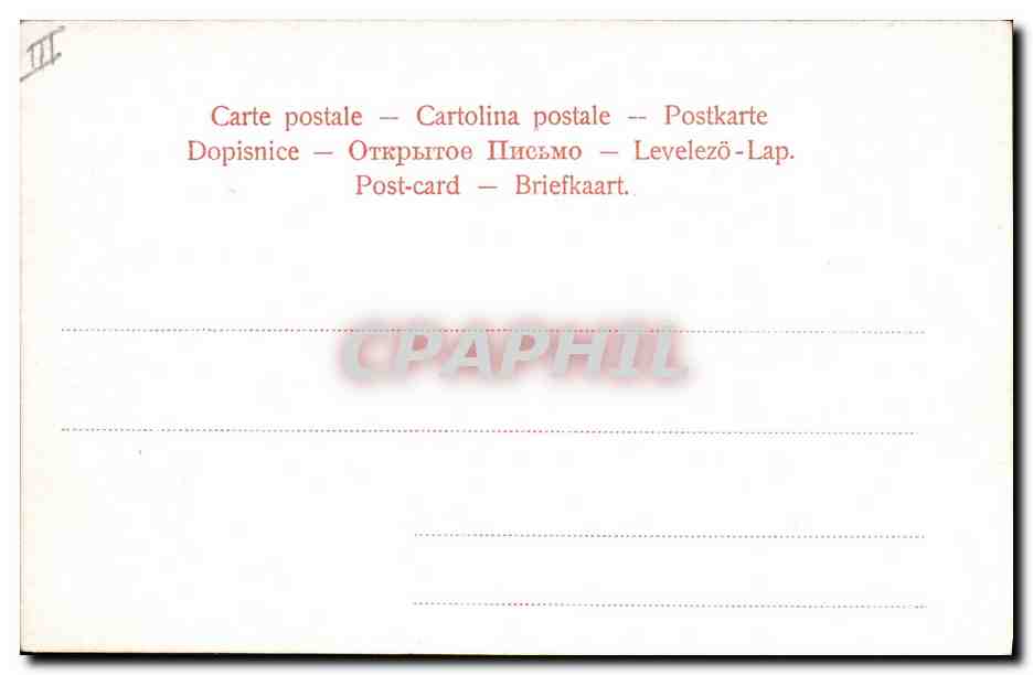 CPA Fantaisie Fleurs Oranges  — Verso