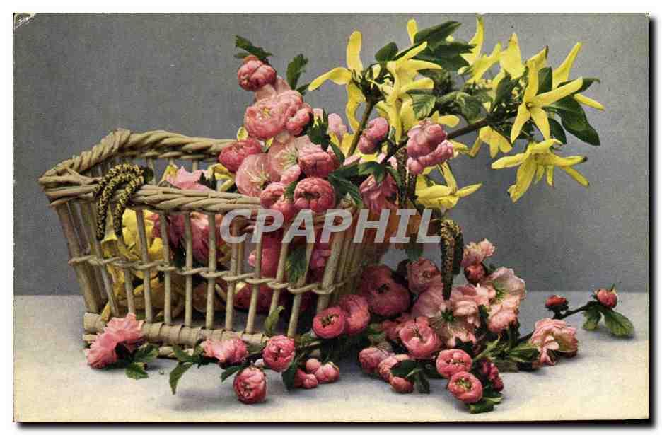 CPA Fantaisie Fleurs 