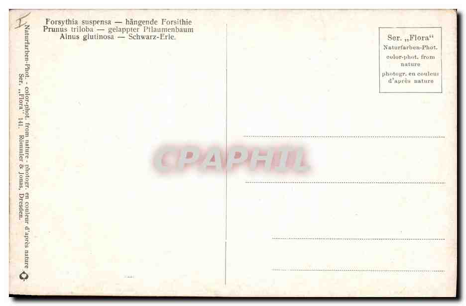 CPA Fantaisie Fleurs  — Rückseite