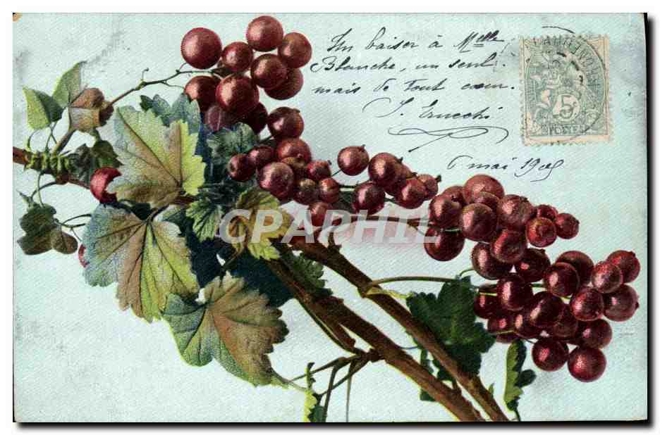 CPA Fantaisie Fleurs 