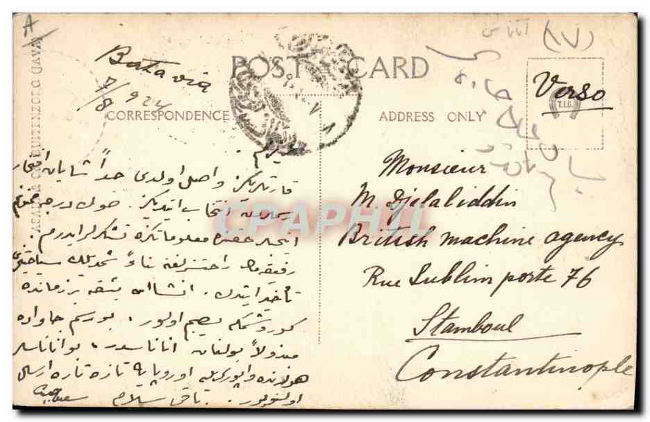 Ananas — Néerlande-Indes — éditeur inconnu, n° de série non visible — Rückseite