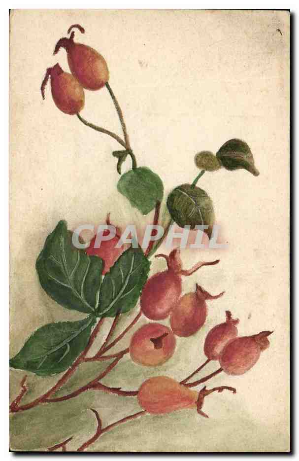CPA Fantaisie Fleurs 
