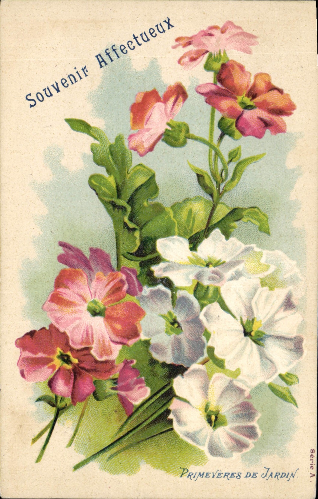 CPA Fantaisie Fleurs Primeveres de jardin 