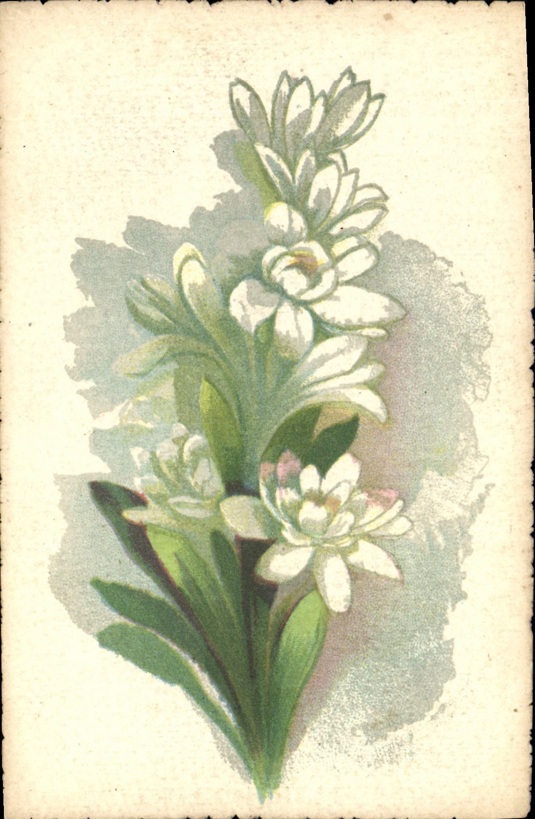 CPA Fantaisie Fleurs 