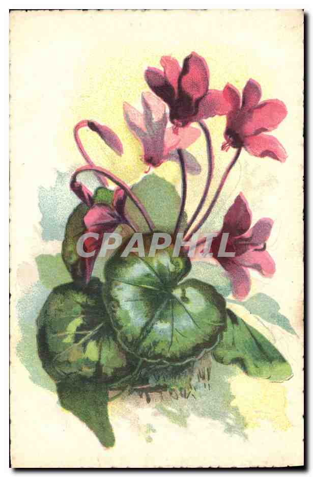 CPA Fantaisie Fleurs 