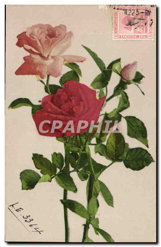 CPA Fantaisie Fleurs 