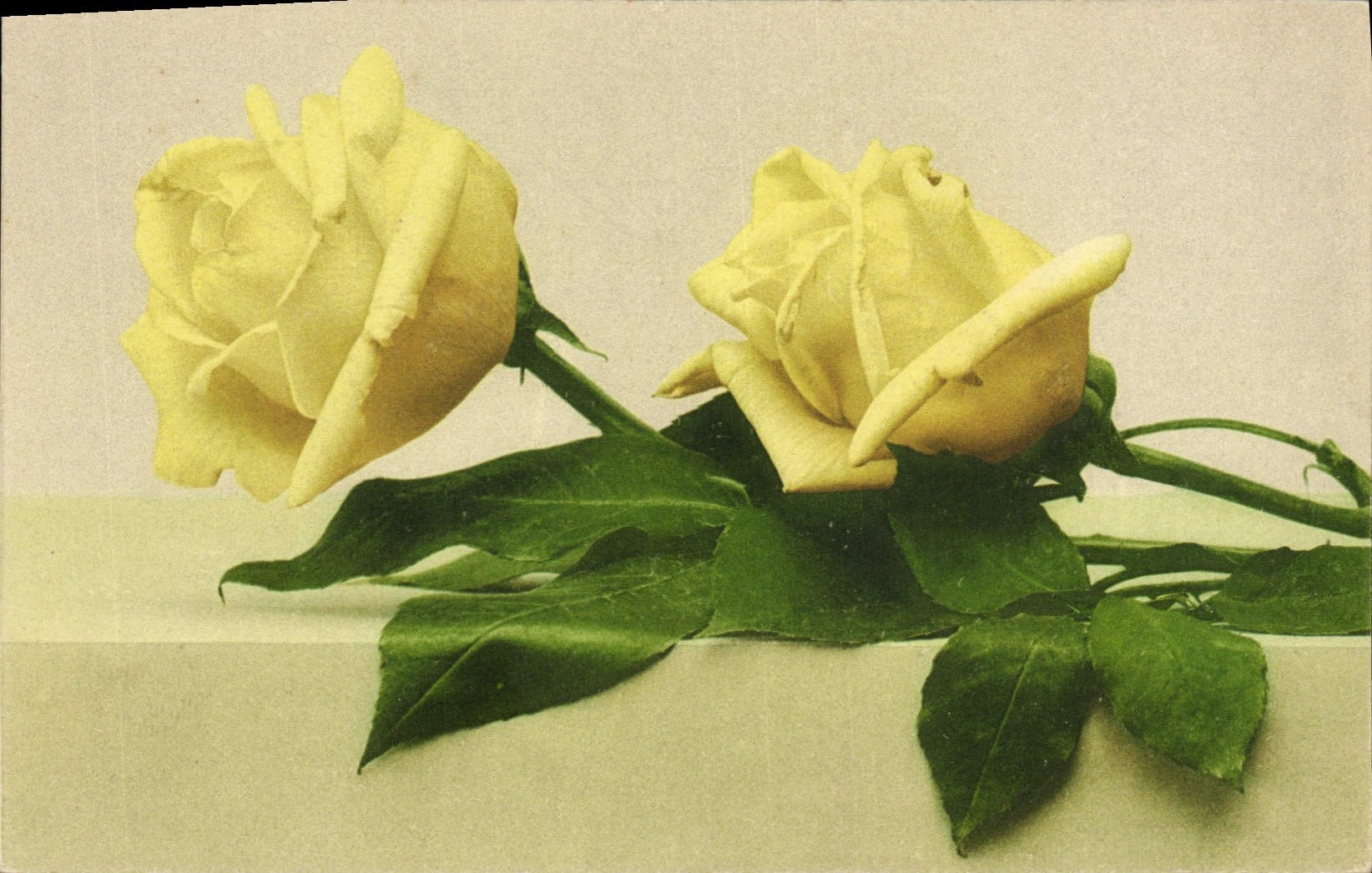 CPA Fantaisie Fleurs 