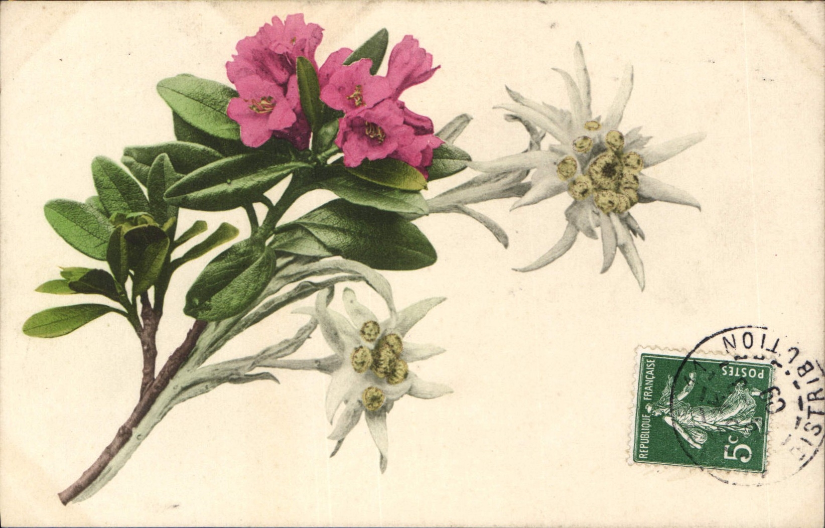 CPA Fantaisie Fleurs 