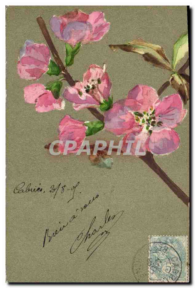 Kerstbloemen — Calviès — D.T.C. Ser. 129