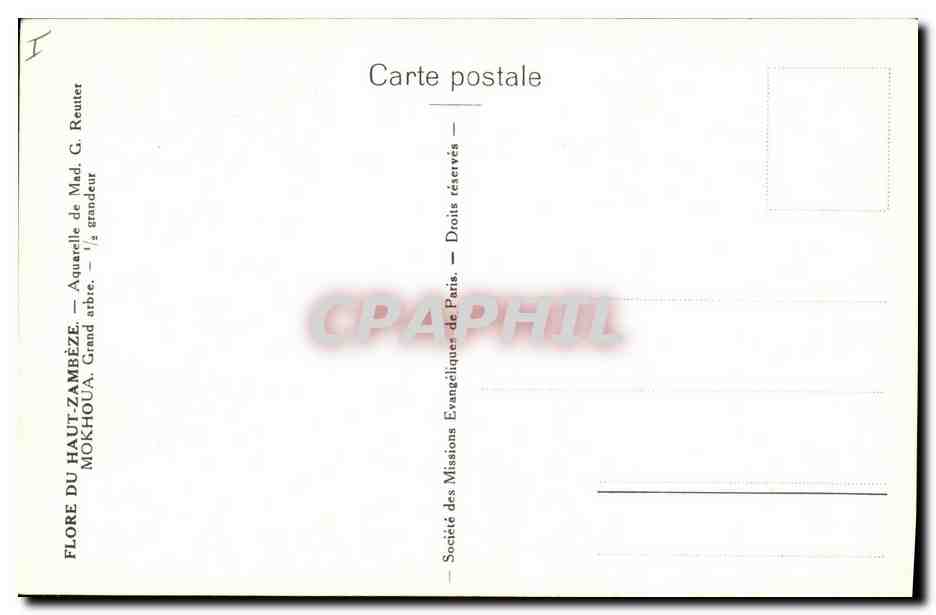 CPA Fantaisie Fleurs  — Verso