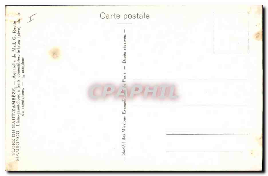 CPA Fantaisie Fleurs  — Verso