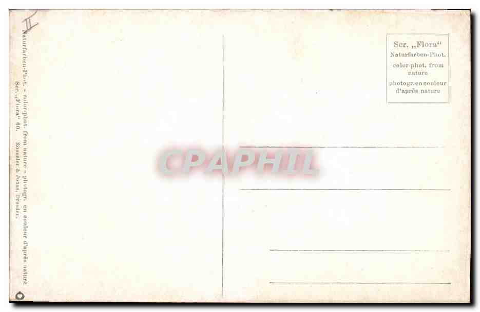 CPA Fantaisie Fleurs  — Rückseite