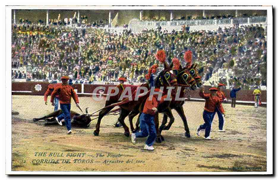 CPA Corrida Course de taureaux Corrida de Toros Arrastre del Toro Chevaux Cheval
