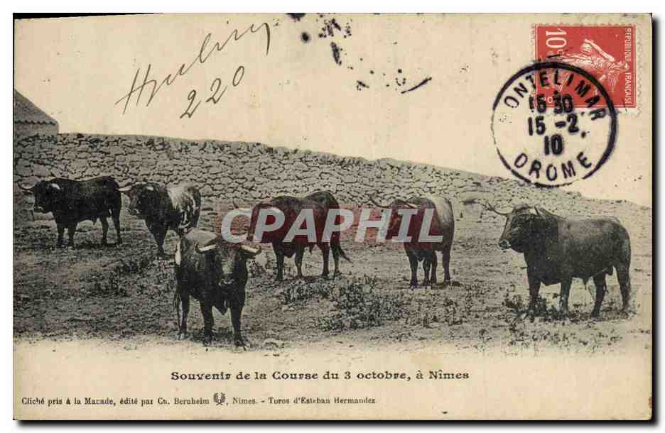 CPA Corrida Course de taureaux Souvenir de la course du 3 octobre a Nimes