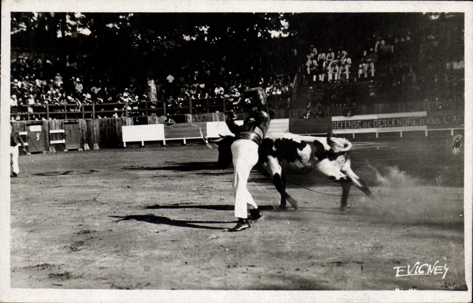Écarteurs en action — Courses Landaises — Photo E. Vigné