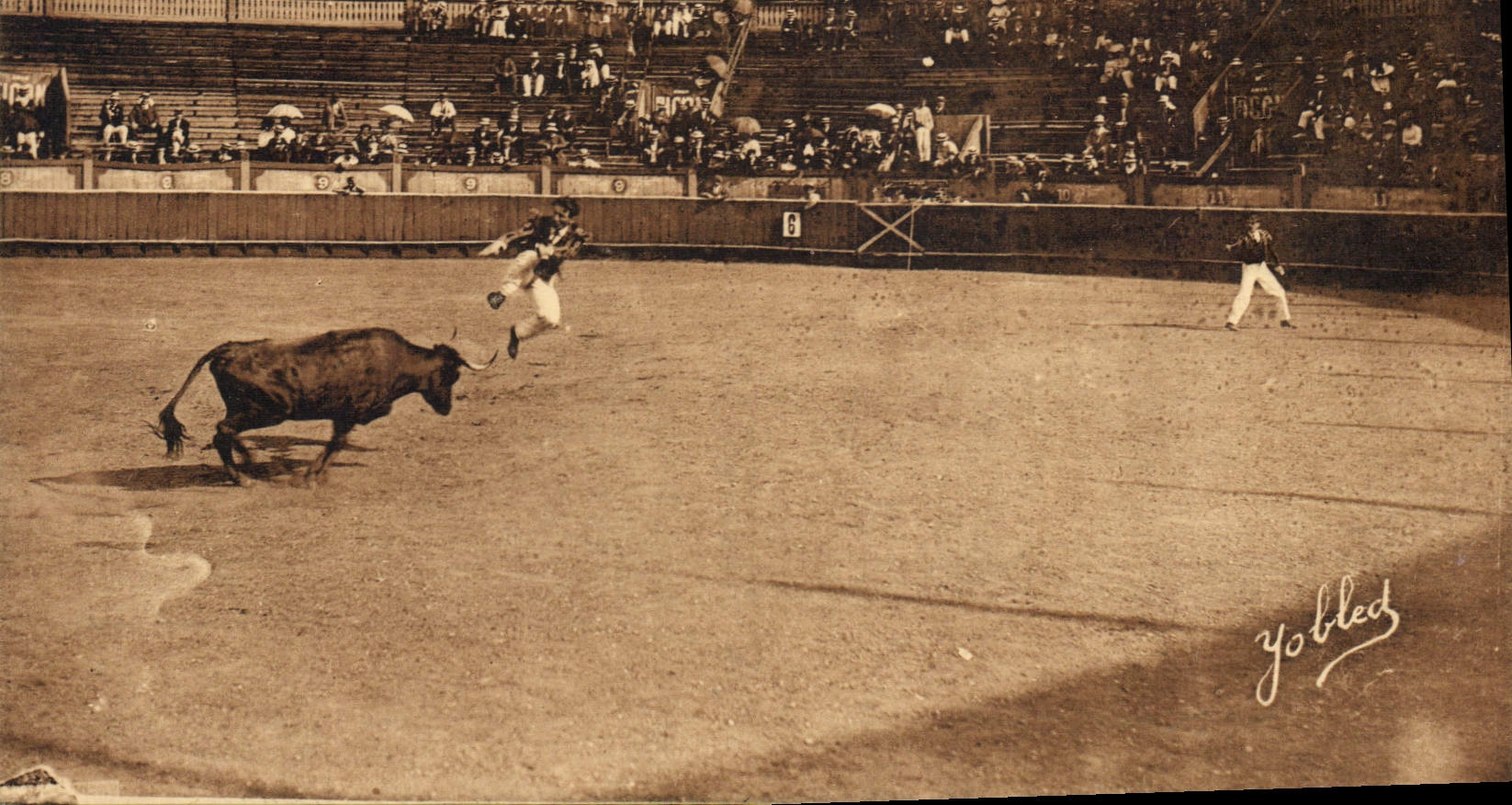 Écarleur sautant la vache — Courses Landaises — Marcel Delbo, Bordeaux