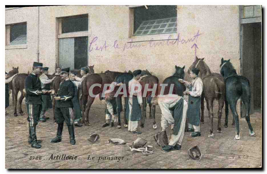 CPA Militaria Artillerie Le pansage Cheval 