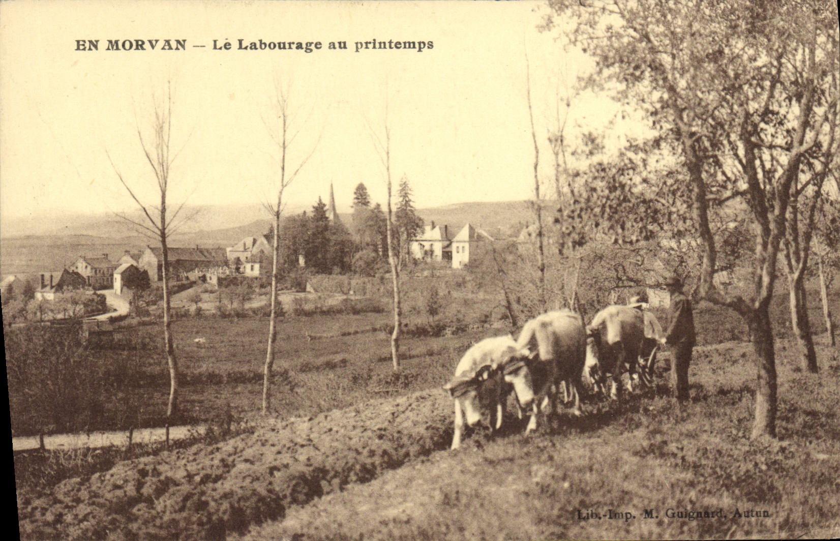 CPA Folklore En Morvan Le labourage du printemps Boeufs 