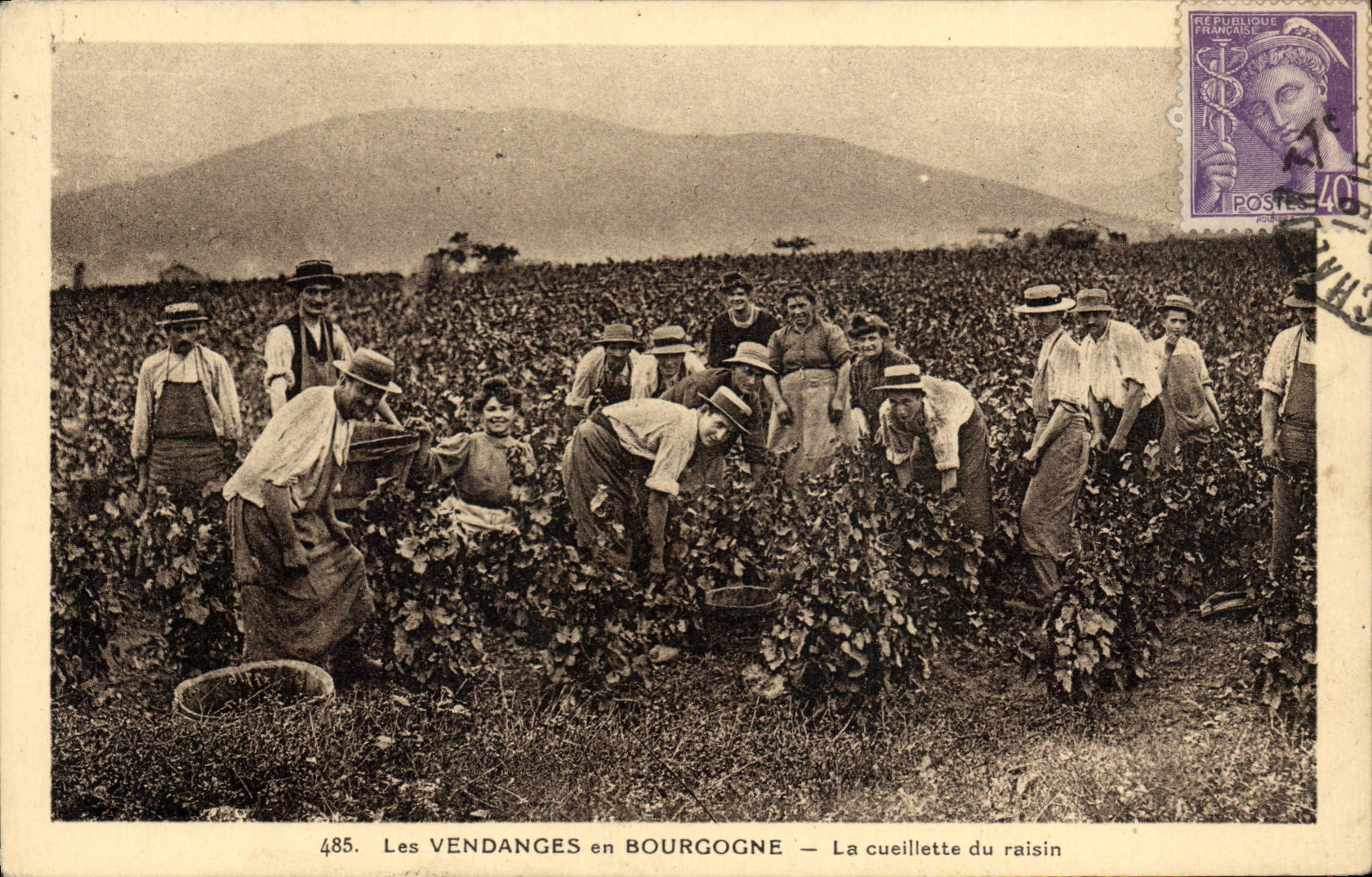 CPA Folklore Les vendanges en Bourgogne La cueillette du raisin 