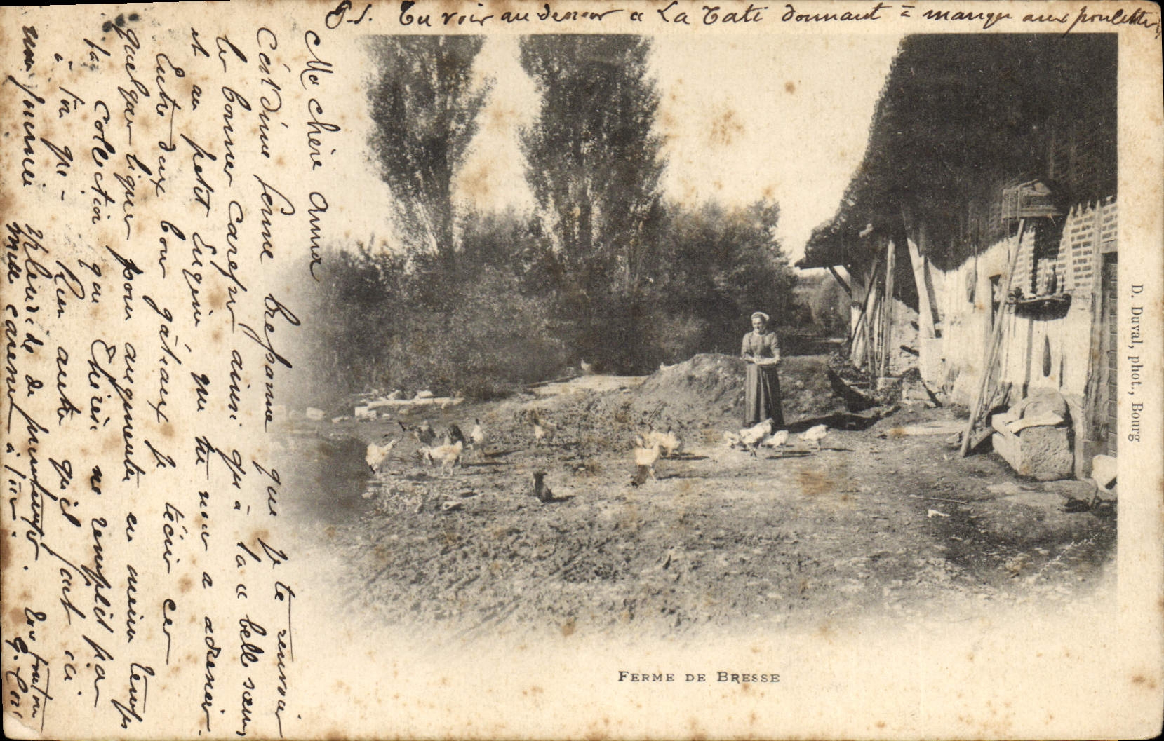 CPA Folklore Ferme de Bresse Poules 