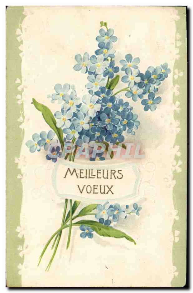 CPA Fantaisie Fleurs 
