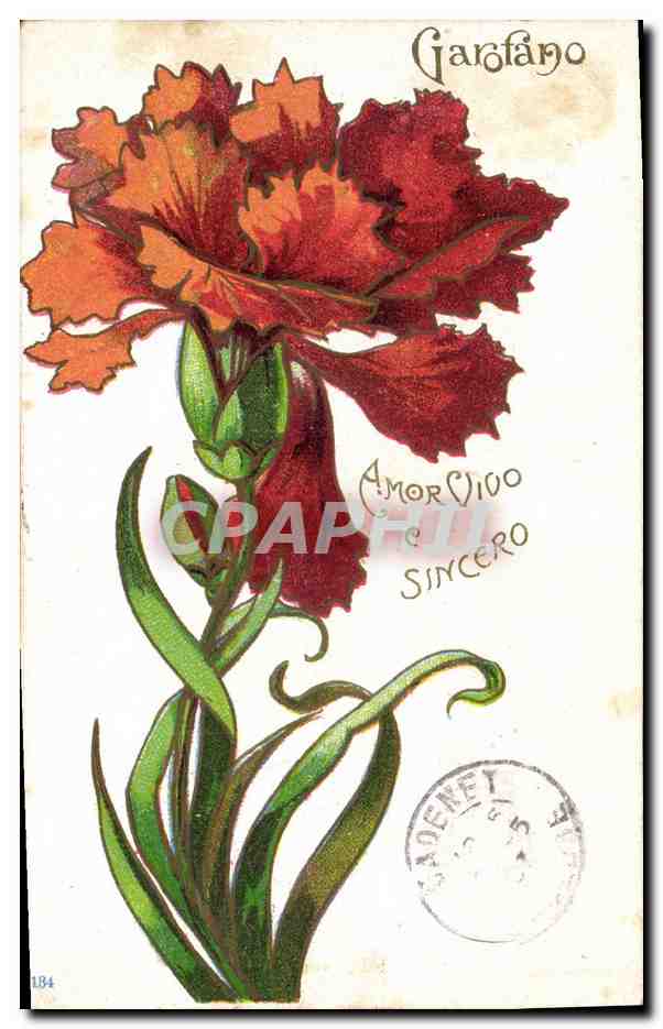 CPA Fantaisie Fleurs 