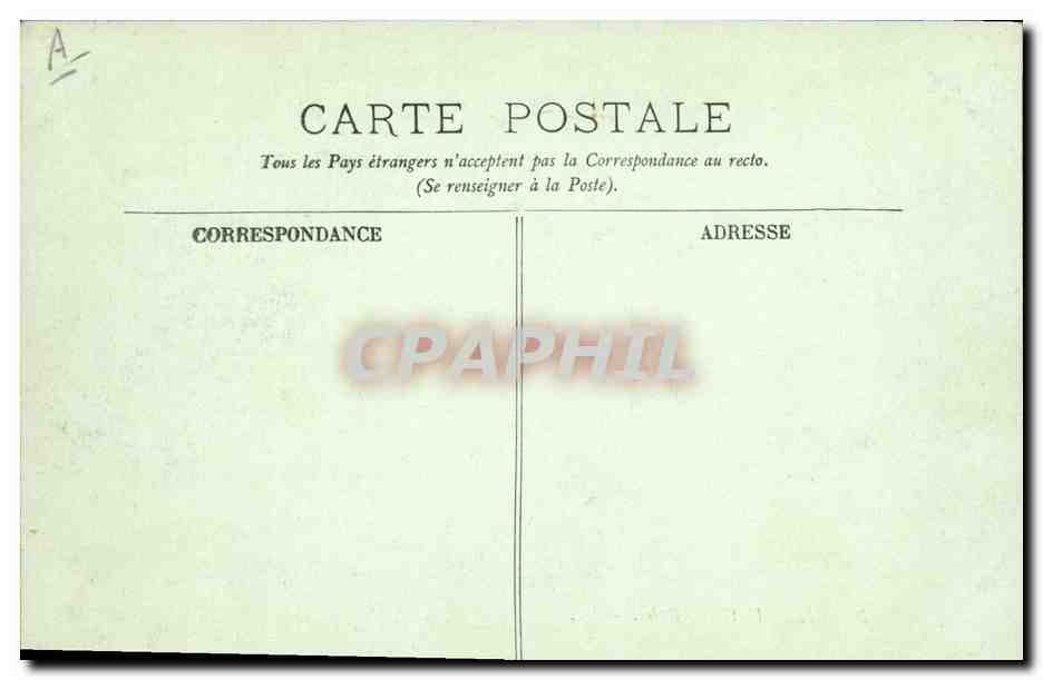 CPA Arbre Nimes Le grand Cedre  — Verso