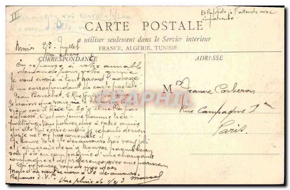 CPA Arbre Nimes Jardin de la Fontaine Le cedre  — Verso