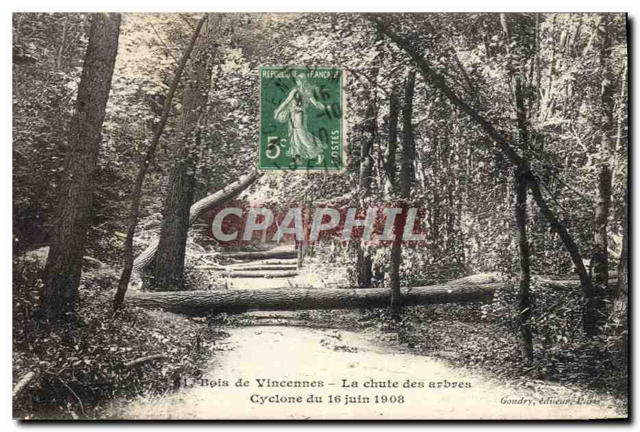 Bois de Vincennes — La chute des arbres — Cyclone du 16 juin 1908 — Gondry, éditeurs, Paris