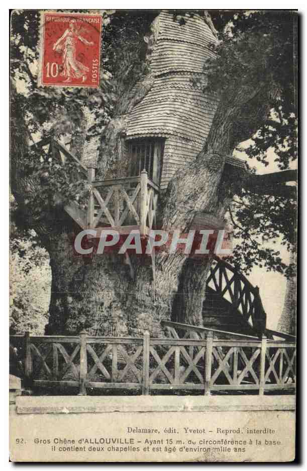 CPA Arbre Gros chene d'Allouville 