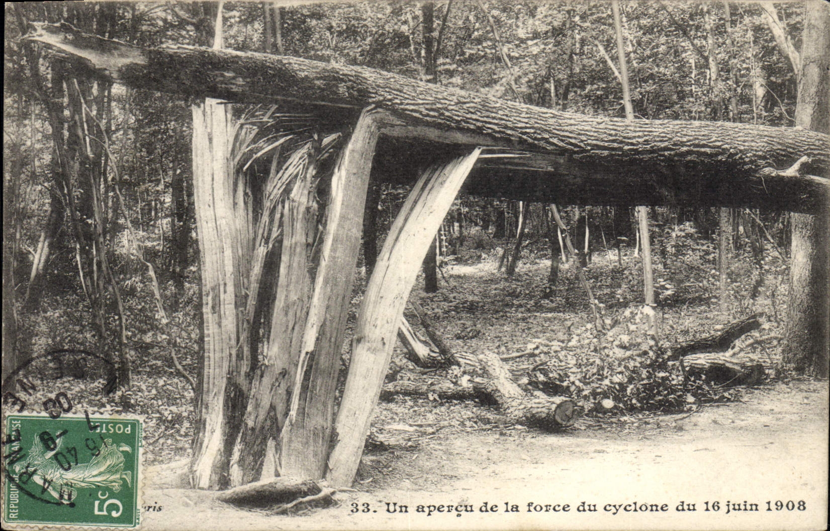 Verwoesting in het bos — orkaan van 16 juni 1908 — Parijs, n°33